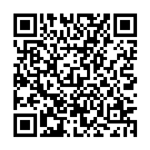 不消片刻起码有上千只幽灵被他给轰杀的飞回湮灭二维码生成