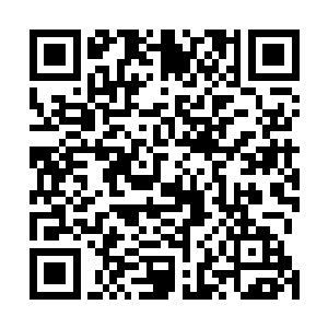 不渡劫凭借现在的实力就能随便击杀丹田穴窍境巅峰强者二维码生成