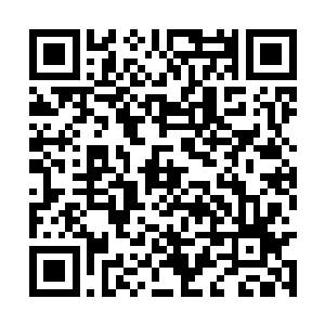 不然为何宰辅尚书家子弟的录取几率比常人高得多二维码生成