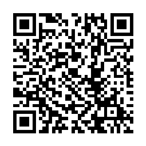 不然也不会请秦宇他们三位风水师傅千里迢迢的过来二维码生成