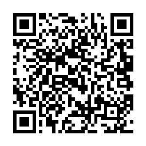 不然也绝不会在叶尊多次出现危险是的情况下选择出手二维码生成