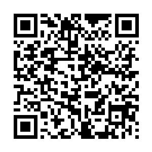 不然以俩人的距离杀手17肯定能听到这家伙的唾弃之词二维码生成