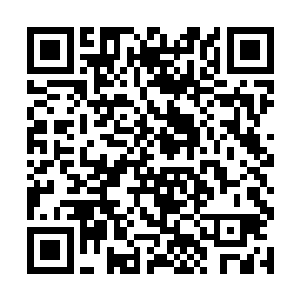 不然传了出去别人还说我鬼冥压榨你这个小小的后辈二维码生成