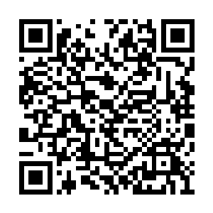 不然你也不至于会黑下我们王子殿下的名贵跑车二维码生成