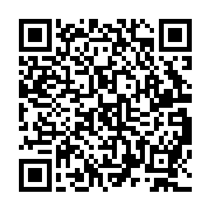 不然你以为我喜欢在自己攻下来的地盘穿着这该死的斗篷吗二维码生成