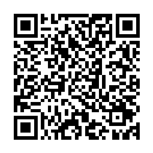 不然外面的人肯定以为军区大院里面有什么发情的春猫在叫唤了二维码生成