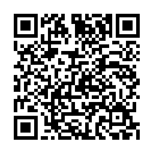 不然天池仙人怕也没有心思管理经营外围的城池二维码生成