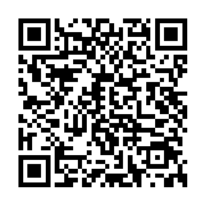 不然她也不会因为赵大同的死而患上精神分裂症二维码生成