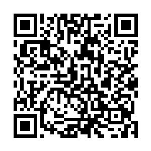 不然她肯定不会轻易地将新式武器的制作方法告知他们的二维码生成