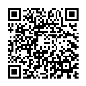 不然她那样的资质怎么修炼的上去呢……都是你这个坏人二维码生成