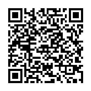 不然张真这一段美好的姻缘可就没有这么好收场了二维码生成