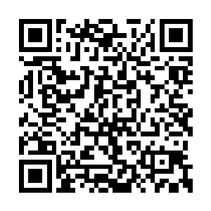 不然当初在朝阳宾馆的时候也不会被陈红拖下水二维码生成