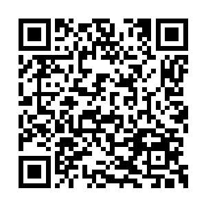 不然怎么可能会是银河贵族给外围贵族赔礼道歉二维码生成