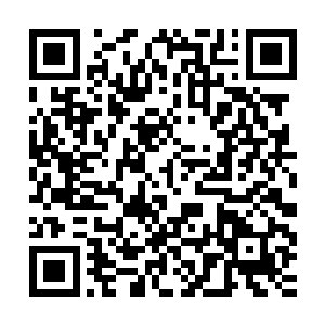 不然我的举动可能会直接引得脚下这个棺材里面的东西直接变煞二维码生成