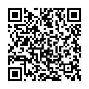 不然我的国家和我的人民都会遭受到巨大的损失二维码生成