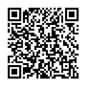 不然李大可之前被那变异的丧尸抓住脚踝的时候二维码生成