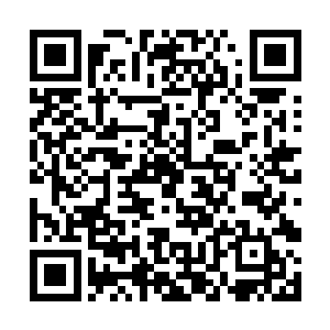 不然的话……大赛组委会为什么要这么照顾这家伙呀二维码生成