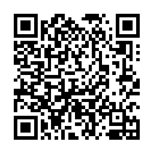 不然的话……小神境界的公西宁随时可以逃进众神之巅二维码生成