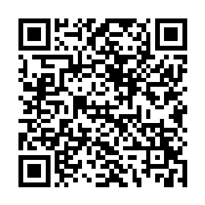不然的话……说不定就要连江少游的手指也一起吃掉了二维码生成