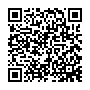 不然的话不会对我产生怀疑还将公司的权利放任交给我二维码生成