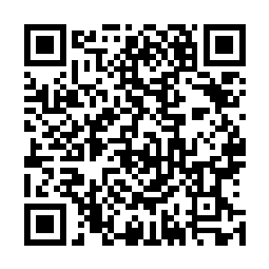 不然的话也不可能以一己之力对阵孙悟空等诸多顶级强者了二维码生成