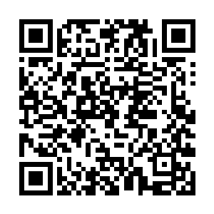 不然的话也绝对不会说什么所谓的根骨不错这样的话二维码生成
