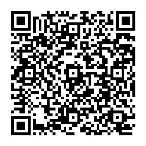 不然的话他也不会冒着生命危险拼着重伤的情况下从紫影貂的手中将紫彤果抢到手了二维码生成