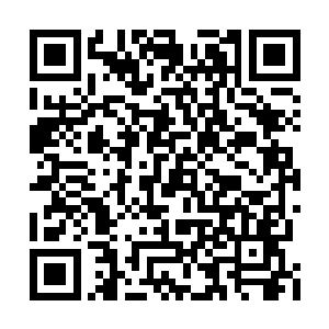 不然的话以他们的速度还不能干掉两百多根石柱二维码生成
