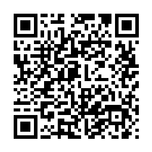 不然的话你以为丁羽为什么要把这个孩子给送过来二维码生成
