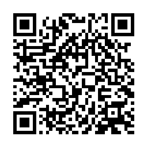 不然的话你以为波士顿那边的警察会这么的轻易的就放行二维码生成