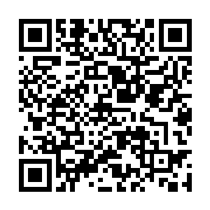 不然的话就算是凭借这菩提祖师和白衣僧人的力量二维码生成