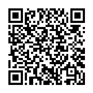 不然的话就算是服用再多的天材地宝也是无济于事的二维码生成