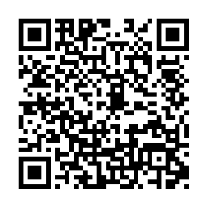 不然的话想要伤到龙傲天几乎就是不可能的事情二维码生成