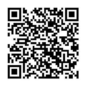不然的话绝对不会把如此多的人和势力都给调集了过来二维码生成