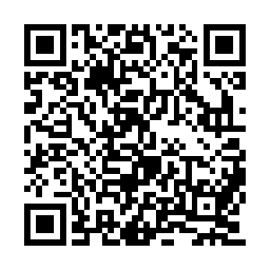 不然的话绝对不会邀请他们来到农场的食堂这边二维码生成