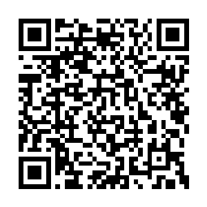 不然的话这个地方将来肯定会经常发生交通事故二维码生成