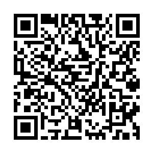 不然的话这些日子风逵肆无忌惮的点火烤肉不早是自己找抽了二维码生成
