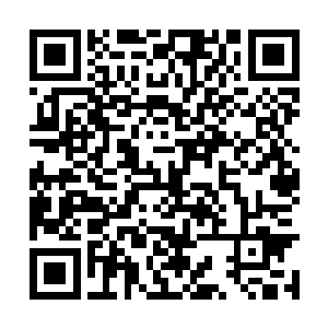 不然的话龙傲天他们几个也不会闯入到龙域的深处二维码生成