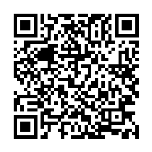 不然紫玉灵匣的第一个小屋子怎么会放那么多的白晶灵石呢二维码生成