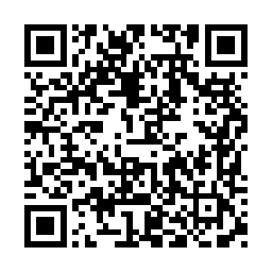 不然那个一开始接电话的也不会问我是什么问题二维码生成