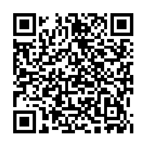 不然黄埔无恨也不会放任叶秋在华夏呆了那么久二维码生成