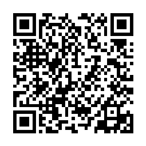 不照着自身喜好留下来享受小姑娘等人崇拜倾慕的目光二维码生成