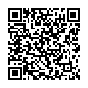 不爱看披着成年人外皮的少年宰相跟人勾心斗角二维码生成