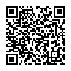 不甘啊……不该与战公子为敌……倘若不惹战公子二维码生成