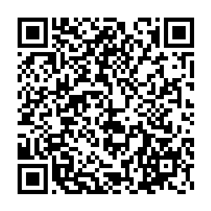 不甚明亮的眼睛写满了不可思议已经那种想相信又不敢相信的迟疑二维码生成