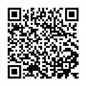 不用天法的水属性法术又怎能对不堕境界以上的修真者造成威胁二维码生成