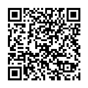 不用想也知道这七个人一定是相互之间很熟悉的好姐妹二维码生成