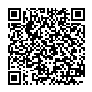 不用扒开看凌菲就认出这东西就是她心心念念一直寻找的粮食――玉米二维码生成