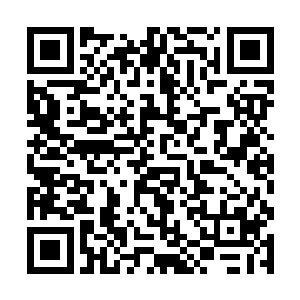 不用担心一次性提升太多而导致出现各种各样的问题二维码生成