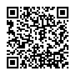 不用担心出啥幺蛾子…再说了帝王宠之萌后无双二维码生成